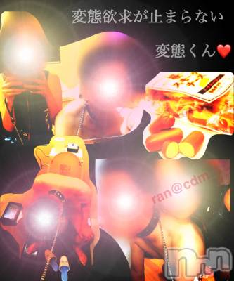 松本発SM coin d amour(コインダムール) （松本発）蘭（らん）お姉様(99)の8月19日写メブログ「変態フルコース♡」