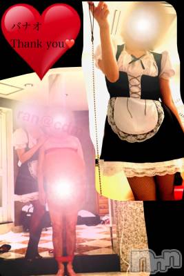 松本発SM coin d amour(コインダムール) （松本発）蘭（らん）お姉様(99)の6月15日写メブログ「顔面騎乗されながら射精したい♡」
