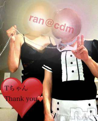 松本発SM coin d amour(コインダムール) （松本発）蘭（らん）お姉様(99)の6月21日写メブログ「変態メイドさん♡」