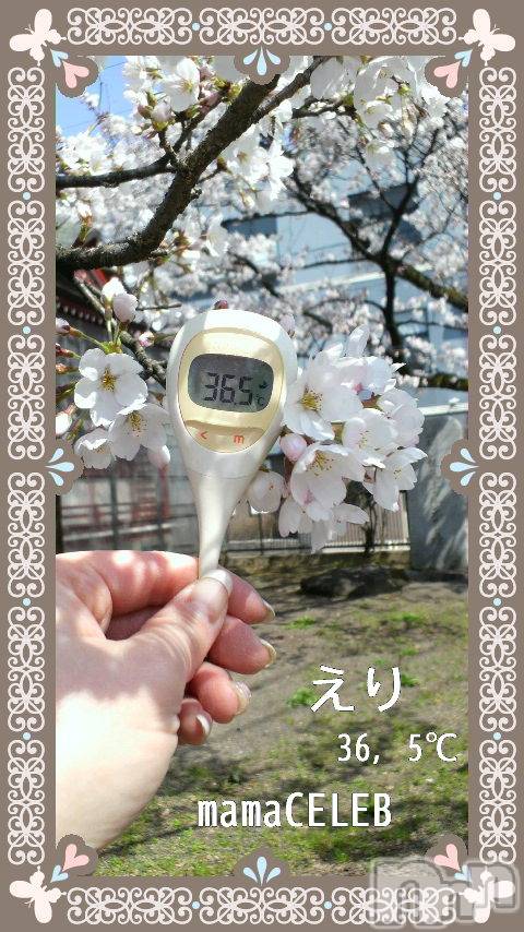 長岡デリヘルTERRACE(テラス)えり(40)の2021年4月1日写メブログ「☆桜と共に♪☆」