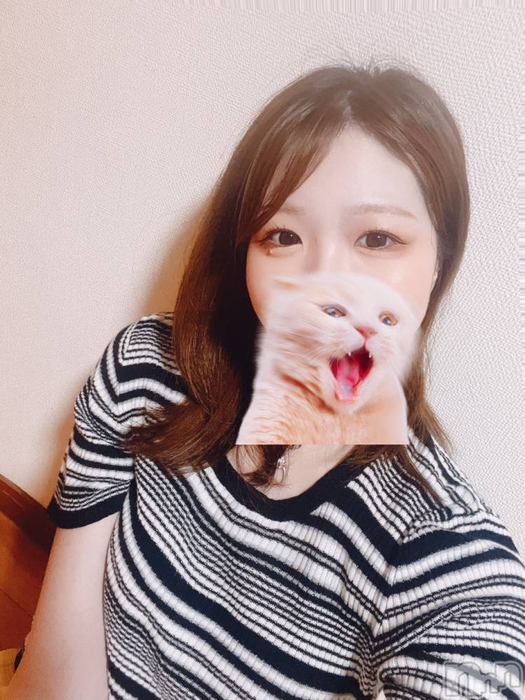 松本発デリヘルELYSION （エリシオン）(エリシオン) 綺羅 kira (22)の6月27日写メブログ「知りたい？」