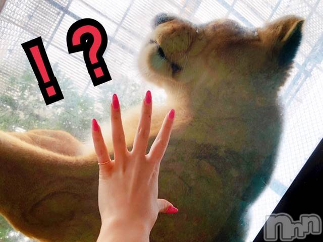長岡デリヘルMimi(ミミ) チョコ【SPアドバイザー】(24)の6月1日写メブログ「＊動物と触れ合うチョコﾟ°(´-ㅁก`)＊」