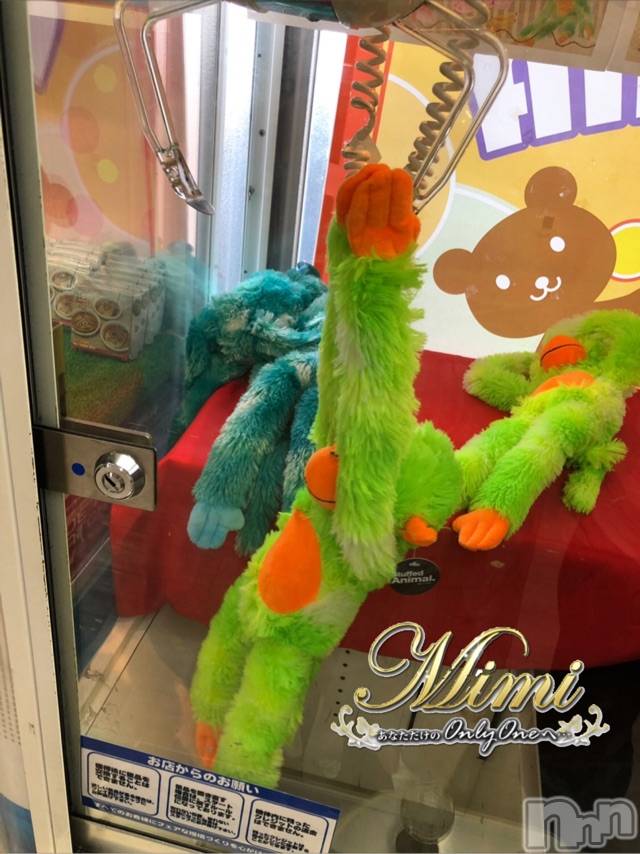 長岡デリヘルMimi(ミミ) チョコ【SPアドバイザー】(24)の9月1日写メブログ「＊絶対欲しかったお猿さんっ♡♡＊」