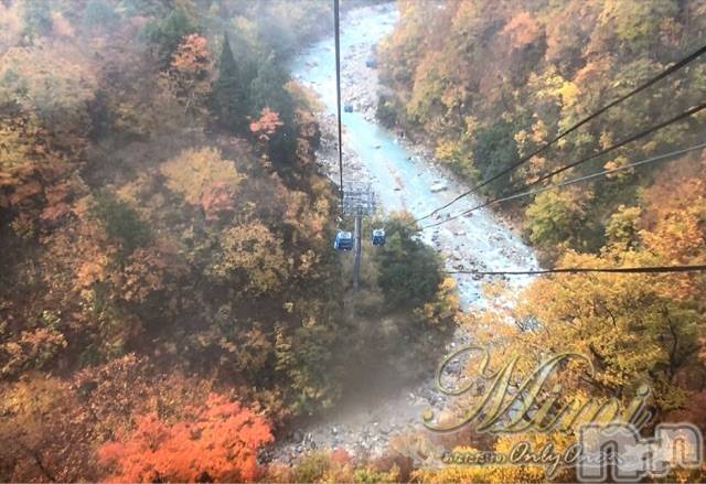 長岡デリヘルMimi(ミミ) チョコ【SPアドバイザー】(24)の11月2日写メブログ「＊絶景←紅葉の一部始終っ。。＊」