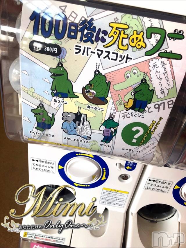 長岡デリヘルMimi(ミミ) チョコ【SPアドバイザー】(24)の4月2日写メブログ「❤︎100日後に死ぬワニ(◦ˉ ˘ ˉ◦)ガチャポケ❤︎」