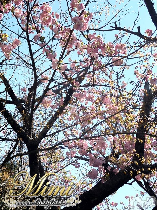 長岡デリヘルMimi(ミミ) チョコ【SPアドバイザー】(24)の4月28日写メブログ「❤︎こーんばーんわっ(´◦ω◦`)❤︎」