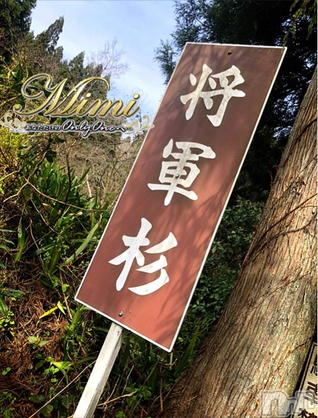 長岡デリヘルMimi(ミミ) チョコ【SPアドバイザー】(24)の6月2日写メブログ「▼▼▼その名も将軍杉▼▼▼」