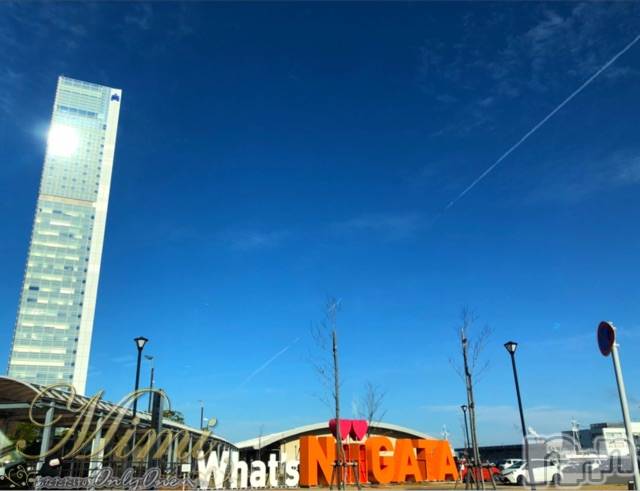 長岡デリヘルMimi(ミミ) チョコ【SPアドバイザー】(24)の11月16日写メブログ「५✍𓂃 .⋆  日航ホテルランチ🧒🏽🍣」