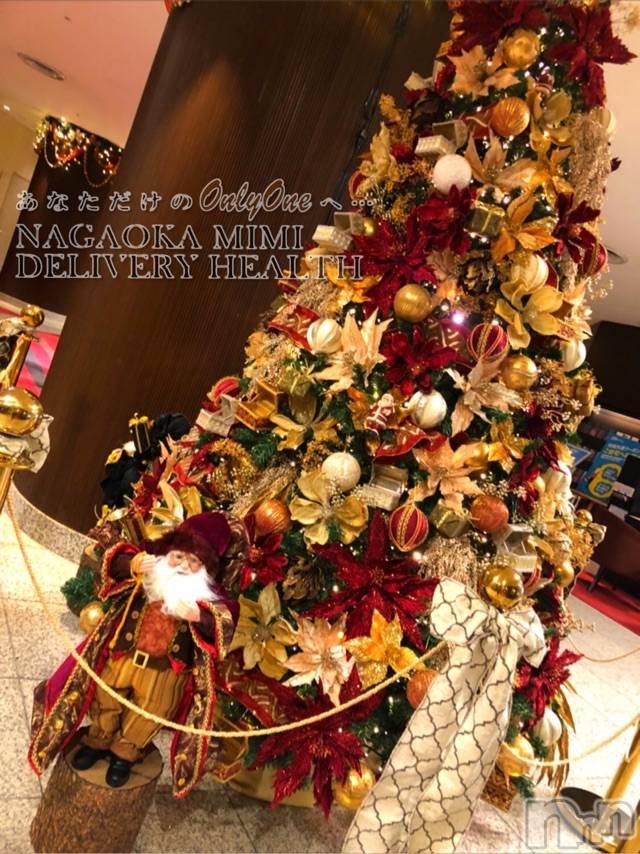 長岡デリヘルMimi(ミミ) チョコ【SPアドバイザー】(24)の12月10日写メブログ「५✍𓂃 .⋆choko holiday ～🎄～2～クリスマス仕様なDINNER🎄～」