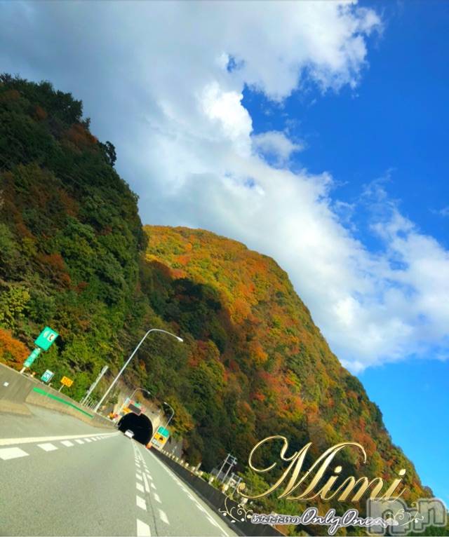 長岡デリヘルMimi(ミミ) チョコ【SPアドバイザー】(24)の12月11日写メブログ「५✍𓂃 .⋆ choko holiday～🐯10月のお話🐯～1～」