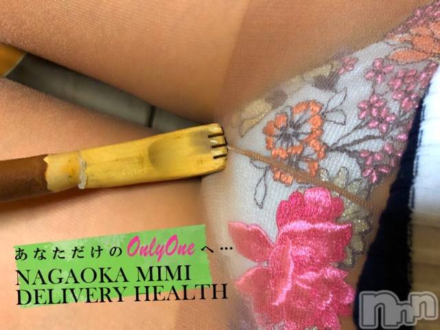 長岡デリヘルMimi(ミミ) チョコ【SPアドバイザー】(24)の12月29日写メブログ「『孫の手の・・正しい使い方🐥❤️』」