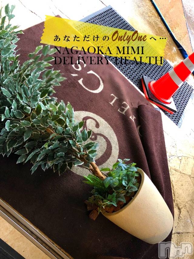長岡デリヘルMimi(ミミ) チョコ【SPアドバイザー】(24)の1月7日写メブログ「『ひょえ👱🏻‍♂️』」