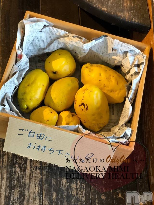 長岡デリヘルMimi(ミミ) チョコ【SPアドバイザー】(24)の1月25日写メブログ「『なんですのん？これ😂😂😂💞』」