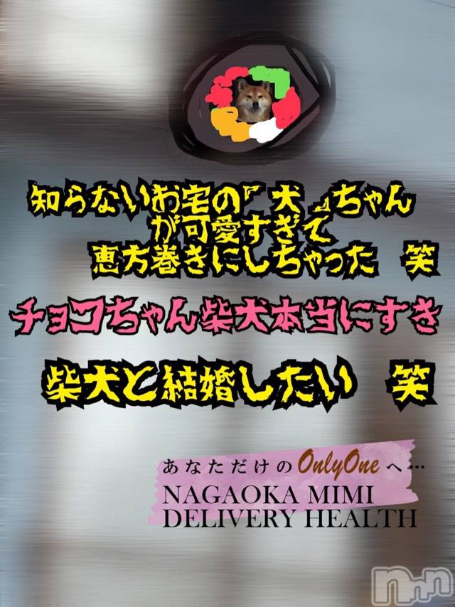 長岡デリヘルMimi(ミミ) チョコ【SPアドバイザー】(24)の2月2日写メブログ「『柴犬と結婚したい😭💞』」