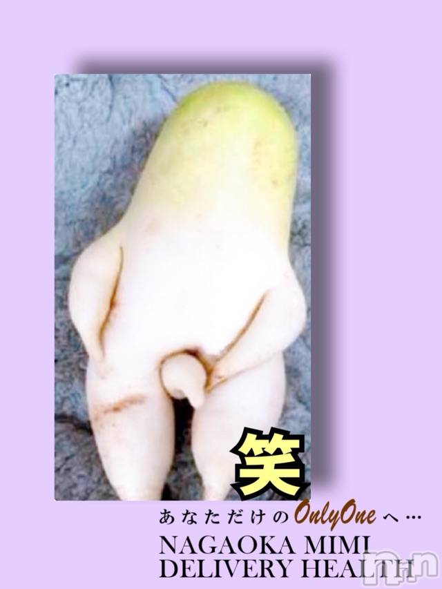 長岡デリヘルMimi(ミミ) チョコ【SPアドバイザー】(24)の3月2日写メブログ「『到着～🦧💞』」