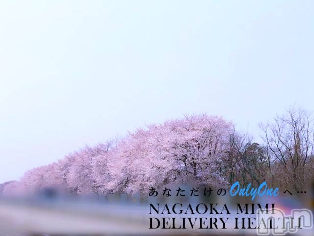 長岡デリヘルMimi(ミミ) 【チョコ】(24)の3月31日写メブログ「『桜🐵』」