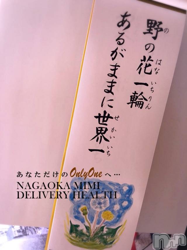 長岡デリヘルMimi(ミミ) チョコ【SPアドバイザー】(24)の4月3日写メブログ「『おばあちゃんちにあった👱🏻‍♂️💞言葉💞』」