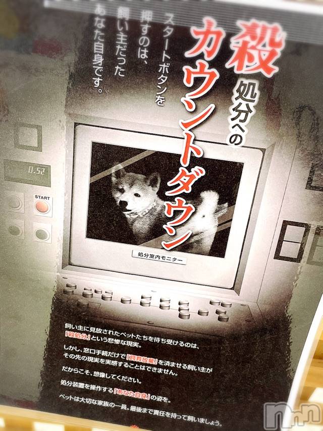 長岡デリヘルMimi(ミミ) チョコ【SPアドバイザー】(24)の6月15日写メブログ「ふと、、よった先に、、😗💞」