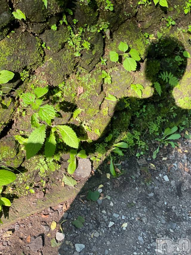 長岡デリヘルMimi(ミミ) チョコ【SPアドバイザー】(24)の8月4日写メブログ「森の妖精🧚笑」