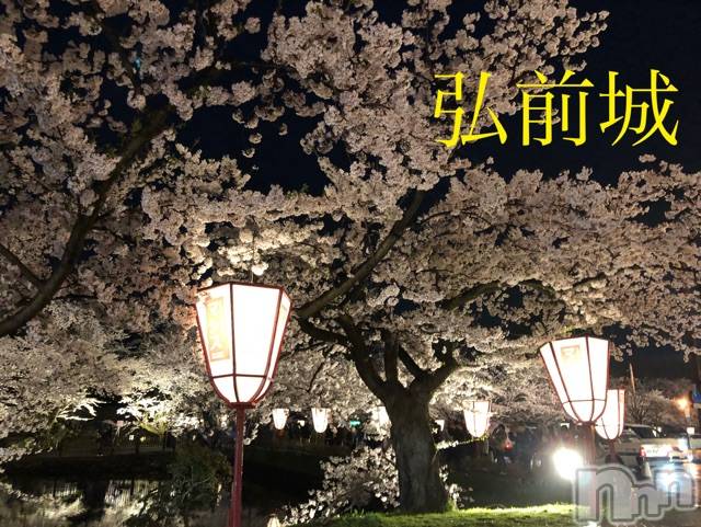 長岡デリヘルMimi(ミミ)チョコ【SPアドバイザー】(24)の2019年4月25日写メブログ「＊青森県の桜祭り～＊弘前城( ｰ̀ωｰ́) ﾞ＊」