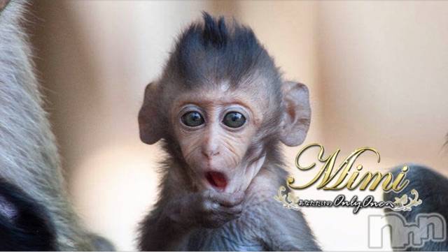 長岡デリヘルMimi(ミミ)チョコ【SPアドバイザー】(24)の2020年3月18日写メブログ「＊昨日お客様からゆわれた一言＊」