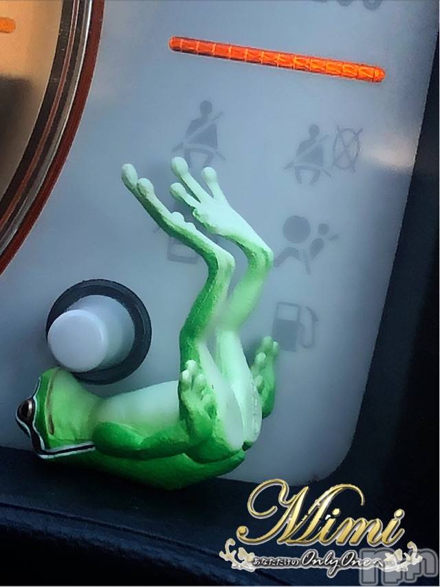 長岡デリヘルMimi(ミミ)チョコ【SPアドバイザー】(24)の2020年6月23日写メブログ「▼暑さでカエルもひっくりかえる！笑▼」