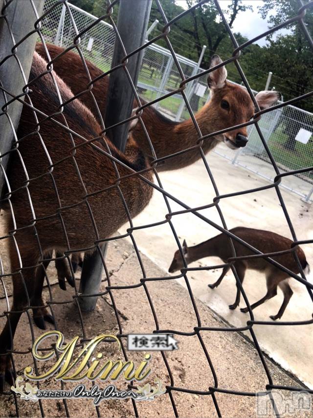 長岡デリヘルMimi(ミミ)チョコ【SPアドバイザー】(24)の2020年10月3日写メブログ「📌__💎chokochan🙊holiday💎2部💎」