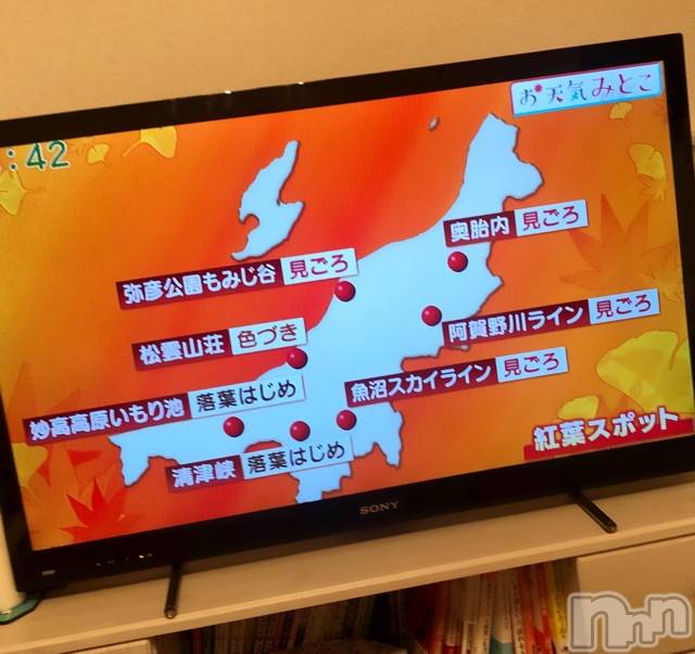 長岡デリヘルMimi(ミミ)チョコ【SPアドバイザー】(24)の2020年11月9日写メブログ「५✍𓂃 𓈒  なのに、紅葉情報🤭⁉️笑⁉️笑」