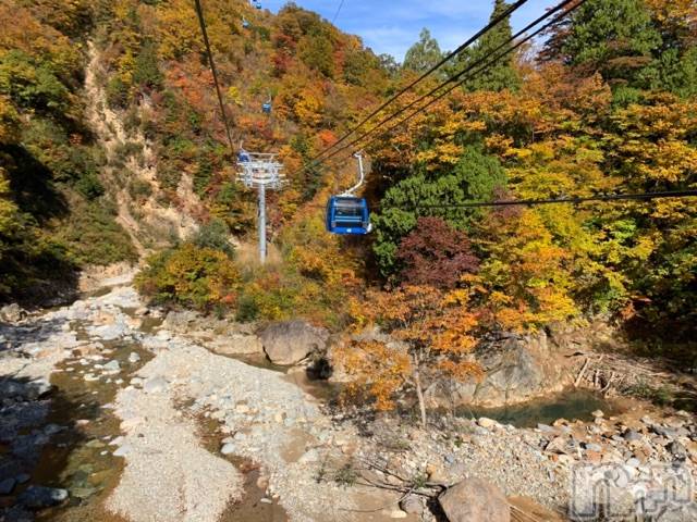 長岡デリヘルMimi(ミミ)チョコ【SPアドバイザー】(24)の2020年11月9日写メブログ「५✍𓂃 𓈒  毎年実は🥺💞仲良し様がチケットを」