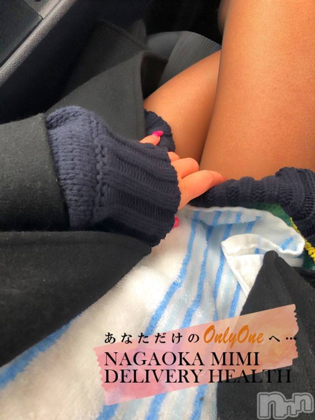 長岡デリヘルMimi(ミミ)チョコ【SPアドバイザー】(24)の2020年12月31日写メブログ「『消雪パイプでお清め🐶🎀』～ものは考えよう🐶☀️！～」