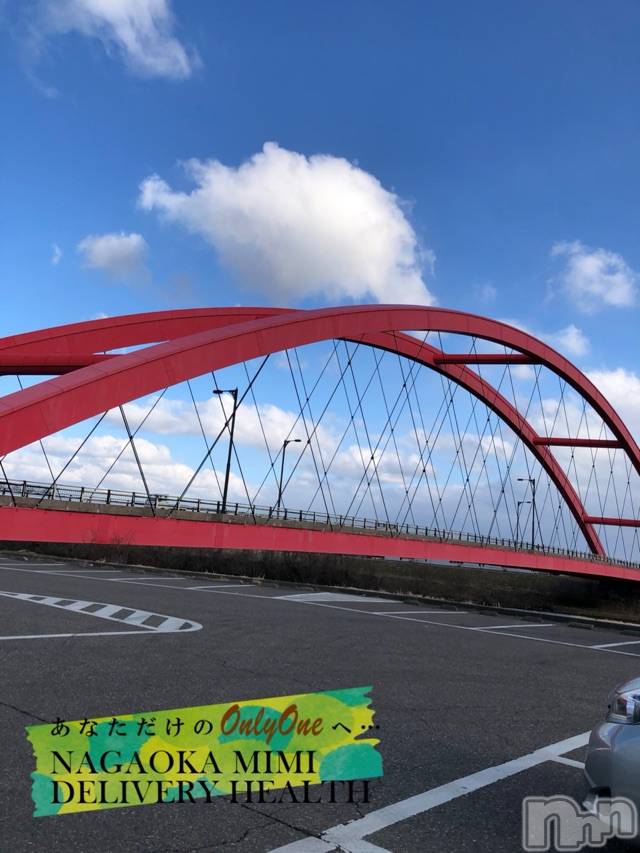 長岡デリヘルMimi(ミミ)チョコ【SPアドバイザー】(24)の2021年2月24日写メブログ「『ウォッシャー液はここでいれた🐱👣』」