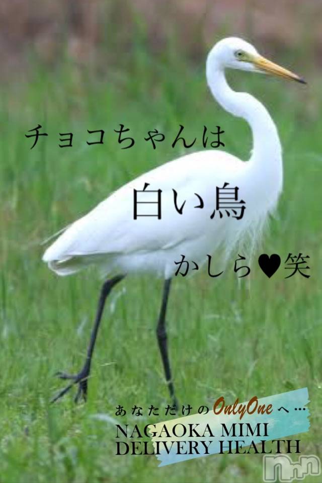 長岡デリヘルMimi(ミミ)チョコ【SPアドバイザー】(24)の2021年3月30日写メブログ「『くちこみ、ありがとう♥♥』」