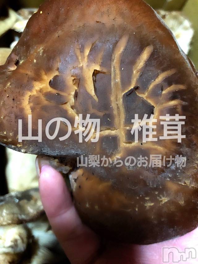 長岡デリヘルMimi(ミミ)チョコ【SPアドバイザー】(24)の2021年4月1日写メブログ「『山梨から届いた椎茸ゲット～🥰💞』」