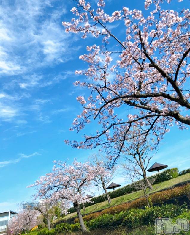 長岡デリヘルMimi(ミミ)チョコ【SPアドバイザー】(24)の2021年4月9日写メブログ「『チョコちゃんの休日編🥰💞』」