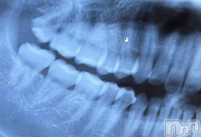 長岡デリヘルMimi(ミミ)チョコ【SPアドバイザー】(24)の2021年5月28日写メブログ「現実は・・」