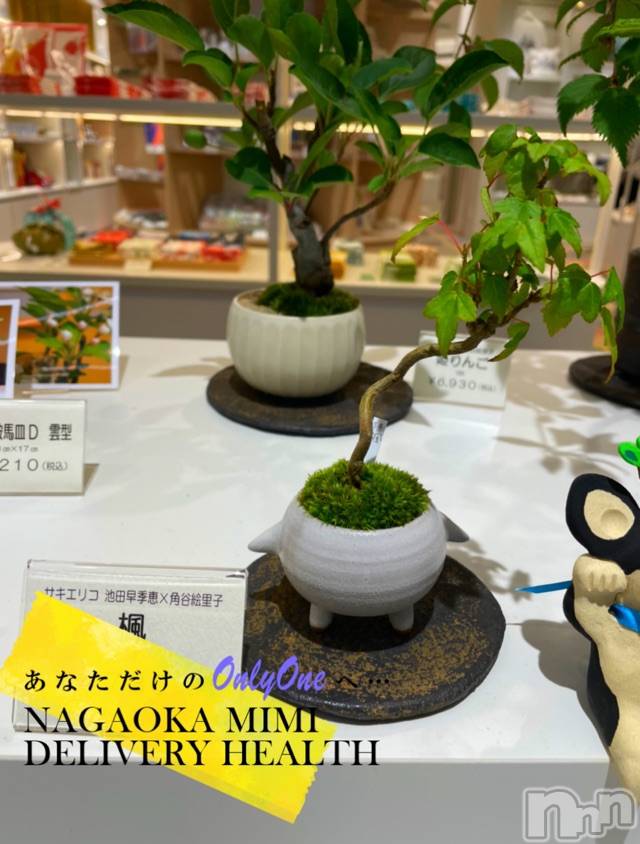 長岡デリヘルMimi(ミミ)チョコ【SPアドバイザー】(24)の2021年6月4日写メブログ「ボンサイデビュー笑」