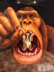 長岡デリヘルMimi(ミミ) チョコ【SPアドバイザー】(24)の12月12日写メブログ「＊ごりらさん＊」