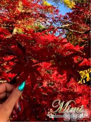 長岡デリヘルMimi(ミミ) チョコ【SPアドバイザー】(24)の11月18日写メブログ「＊昨日覚えた紅葉狩り♡♡＊」