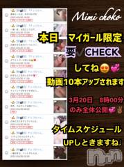 長岡デリヘルMimi(ミミ) チョコ【SPアドバイザー】(24)の3月20日写メブログ「『遅くなりました😭💞』」