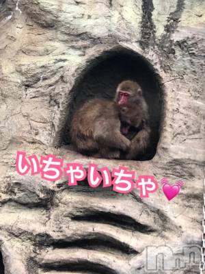 長岡デリヘル Mimi(ミミ) チョコ【SPアドバイザー】(24)の10月29日写メブログ「＊悠久山公園♡＊笑」