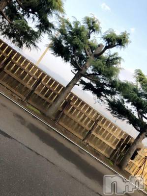 長岡デリヘル Mimi(ミミ) チョコ【SPアドバイザー】(24)の11月11日写メブログ「＊ちょこちやんを探せ＊笑」