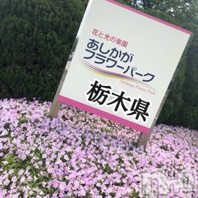 長岡デリヘル Mimi(ミミ) チョコ【SPアドバイザー】(24)の5月11日写メブログ「＊栃木県っ(*´罒`*)＊」