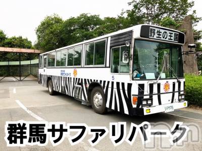 長岡デリヘル Mimi(ミミ) チョコ【SPアドバイザー】(24)の6月1日写メブログ「＊大量写真(◍˃̵͈̑ᴗ˂̵͈̑動物くん達٩(๑´0`๑)۶＊」