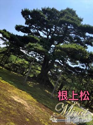 長岡デリヘル Mimi(ミミ) チョコ【SPアドバイザー】(24)の7月17日写メブログ「★兼六園の一部～❥>>(´•ω•`&nbsp;&nbsp;)★」