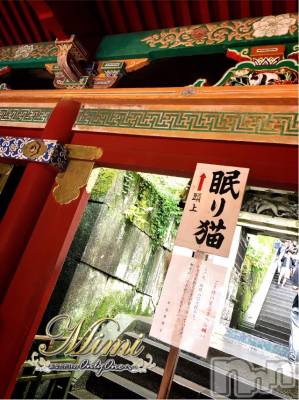 長岡デリヘル Mimi(ミミ) チョコ【SPアドバイザー】(24)の8月29日写メブログ「＊眠り猫の…秘密っ(⁎˃ᴗ˂⁎)＊」