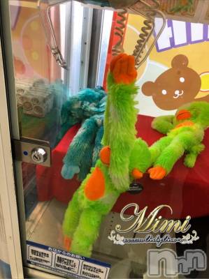 長岡デリヘル Mimi(ミミ) チョコ【SPアドバイザー】(24)の9月1日写メブログ「＊絶対欲しかったお猿さんっ♡♡＊」