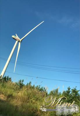 長岡デリヘル Mimi(ミミ) チョコ【SPアドバイザー】(24)の9月14日写メブログ「＊はじめて風車の裏側を見た♡♡ꉂꉂ(๑˃∀˂๑)＊」