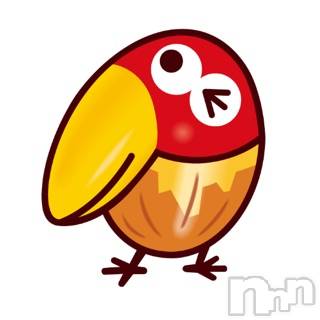 長岡デリヘル Mimi(ミミ) チョコ【SPアドバイザー】(24)の10月23日写メブログ「＊昨日のカラスの観察からふとした疑問産まれたチョコちゃ ん＊」