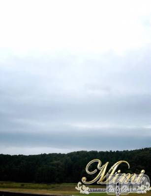 長岡デリヘル Mimi(ミミ) チョコ【SPアドバイザー】(24)の10月25日写メブログ「＊あめだー(゜д゜)から＊」