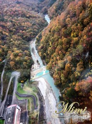 長岡デリヘル Mimi(ミミ) チョコ【SPアドバイザー】(24)の11月2日写メブログ「＊素敵な紅葉満喫( *´ω`* )/＊」